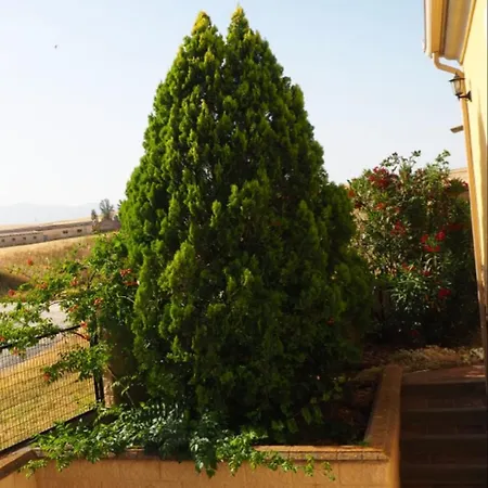 Casa vacanze Chalet Independiente Con Bodega - El Jardin Abades (Segovia)